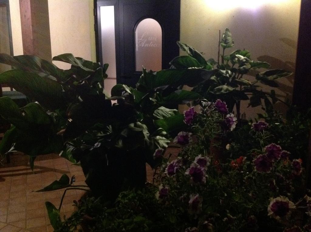 L' Aia Antica Bed & Breakfast Veroli Dış mekan fotoğraf